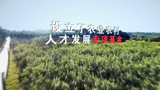 中办国办印发意见 　加快推进乡村人才振兴