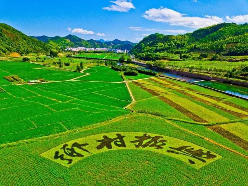 2021年中央一号文件公布 提出全面推进乡村振兴