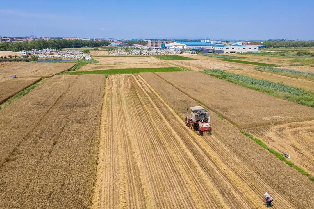 农业农村部：开展第七批农业产业化国家重点龙头企业申报工作