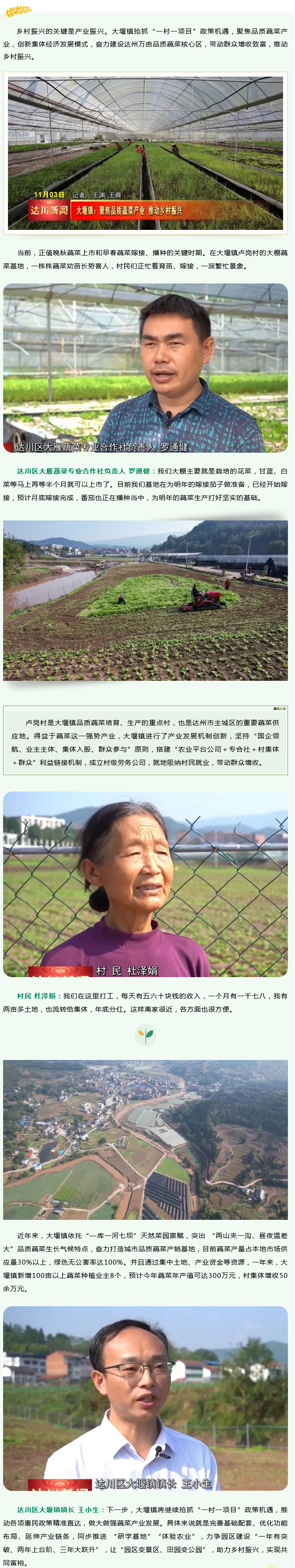 大堰镇：聚焦品质蔬菜产业 推动乡村振兴 