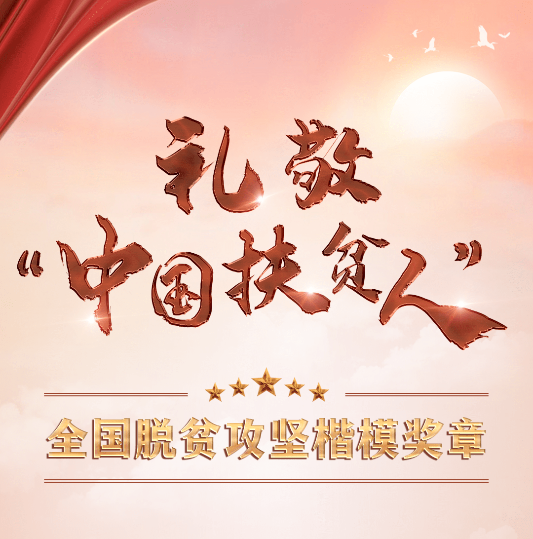 习近平庄严宣告：我国脱贫攻坚战取得了全面胜利(图12)